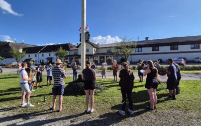 Maibaum Mardetschlag